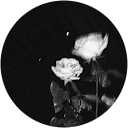 Dimitra Sigala profile picture